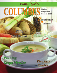 Columbus Winter 2015
