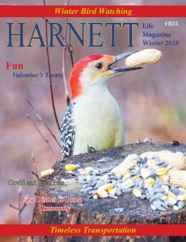 Harnett Winter 2020